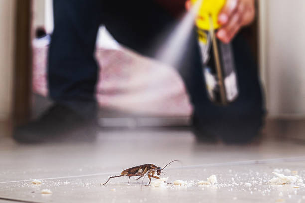 Best Emergency Pest Control  in Heavener, OK